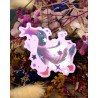 canard voleur d'étoiles ace - sticker holographique