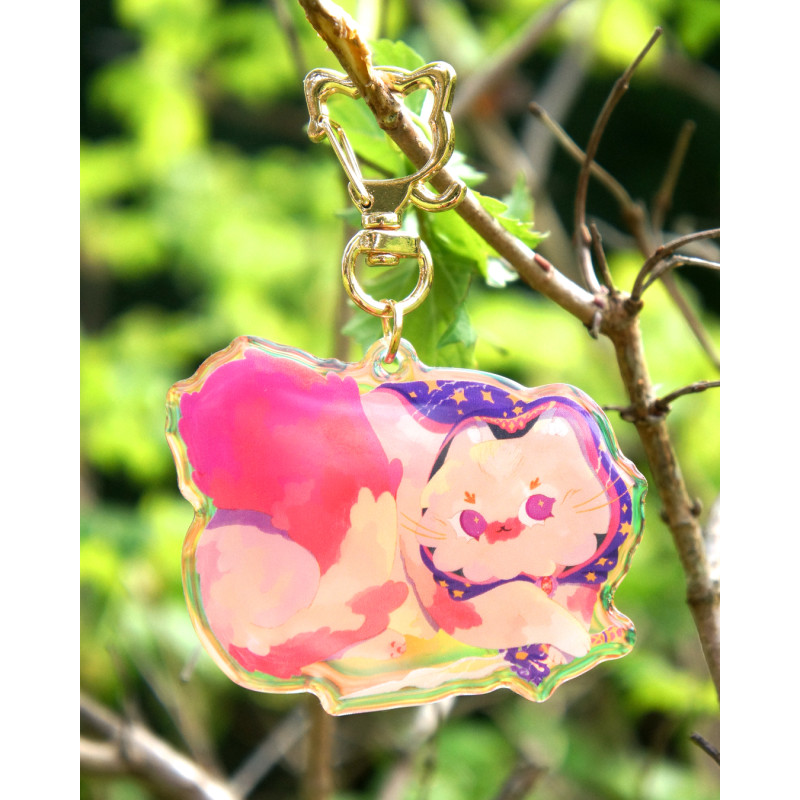 chat voleur - porte-clef arc-en-ciel